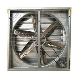 Quạt hút công nghiệp 800x800mm chạy gián tiếp qua dây cuzoa