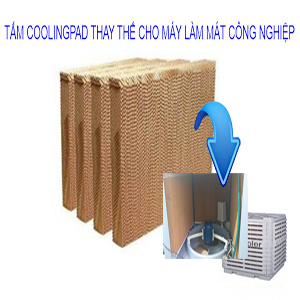 tấm làm mát cooling pad thay thế cho máy làm mát công nghiệp